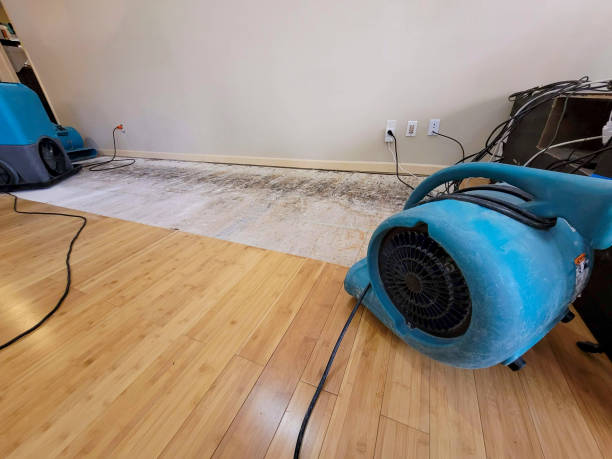 Professional Sewage Cleanup technician working in Emory, TX